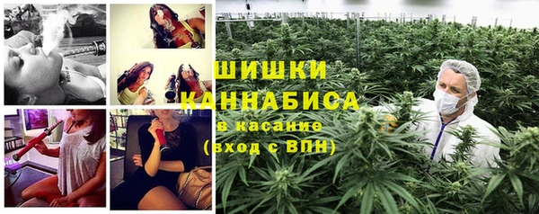 СК Инсар