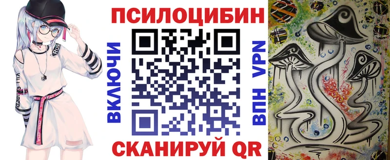 Купить  Спас-Деменск  Псилоцибиновые грибы Psilocybe 