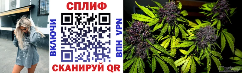 Купить  Спас-Деменск  Канабис MAZAR 